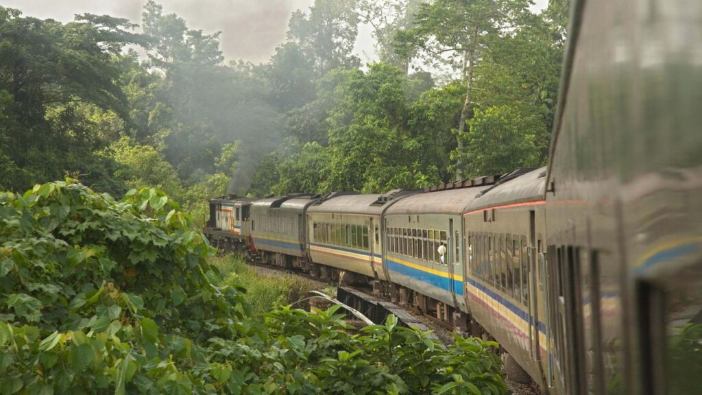 Experience riding 'Forest trains' on the east coast of Malaysia