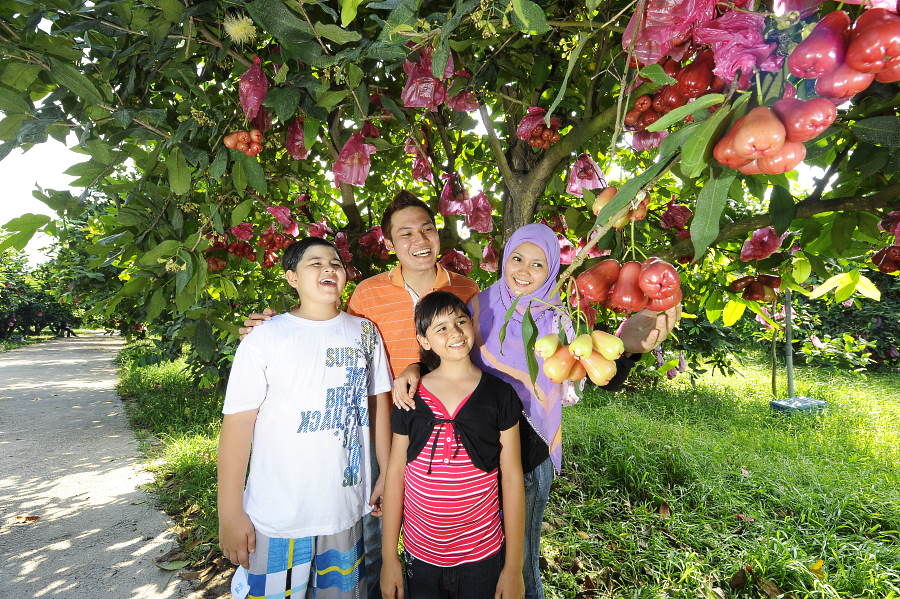 Desaru Fruit Farm 2024