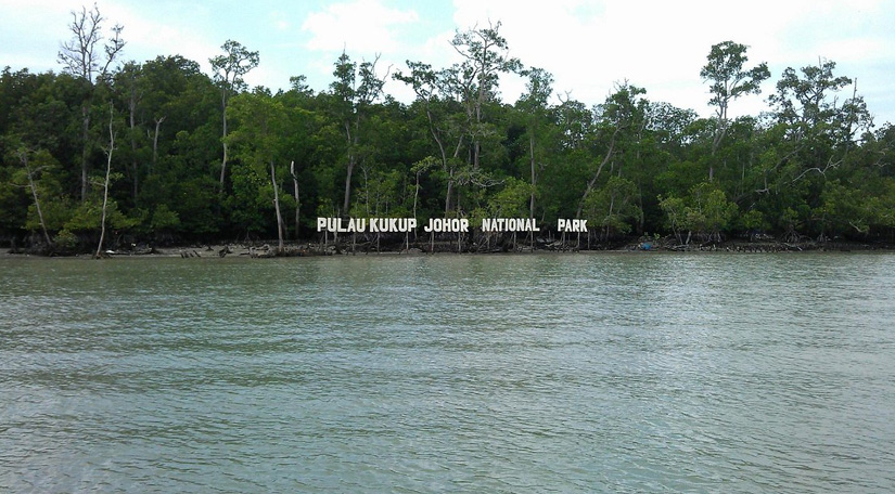 Kukup Island: Natural Escape at Kukup Island