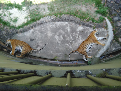 Johor Zoo