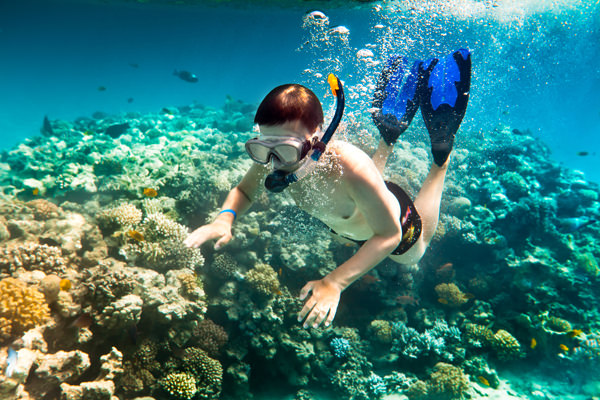 Discovering Marine Marvels: Snorkeling at Pulau Besar