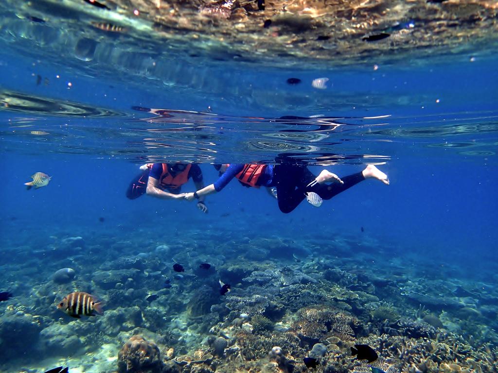 Exploring the Aquatic Marvels: Snorkeling at Pulau Sibu