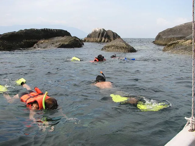 Discovering the Depths: The Best Snorkeling Schools in Malaysia