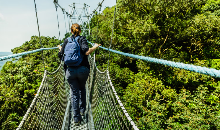 Walk in the Clouds: Canopy Walking in Sabah