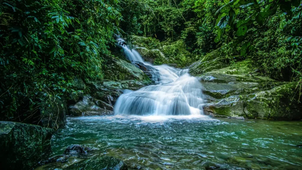 Sungai Congkak Recreational Forest: A Nature Lover's Retreat