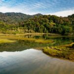 Escape to Paradise: Exploring Penang National Park, Malaysia's Jewel