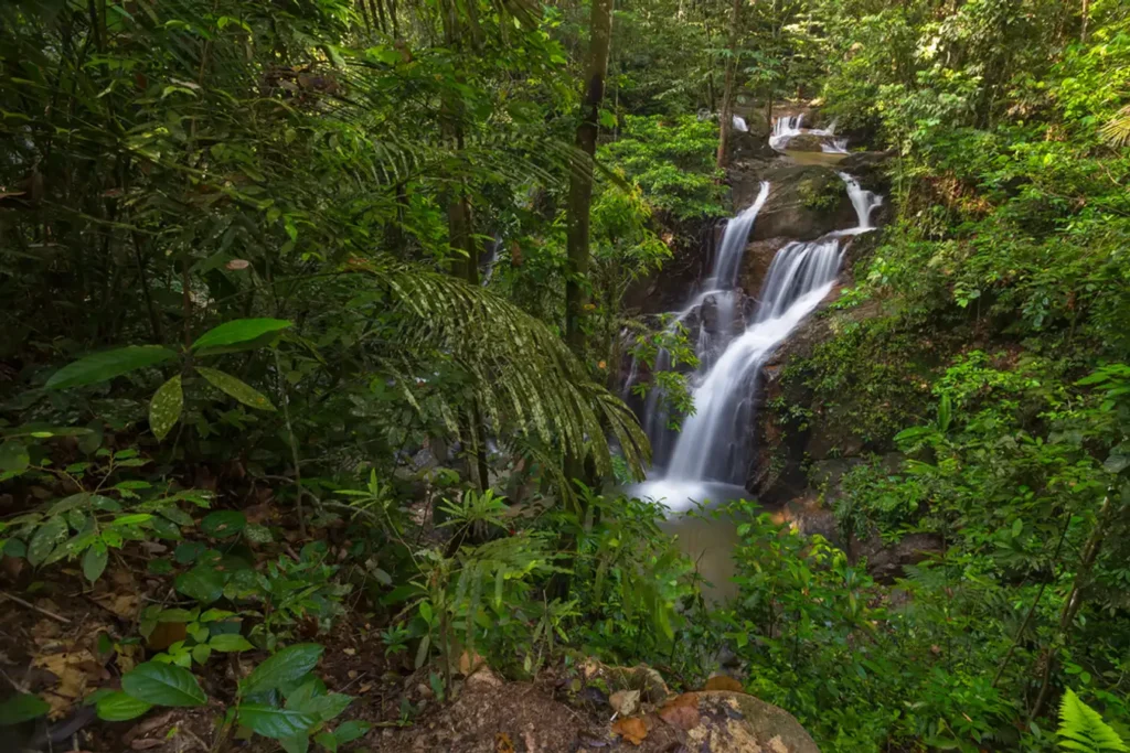 Sungai Pisang Waterfall Trailhead: A Gateway to Nature