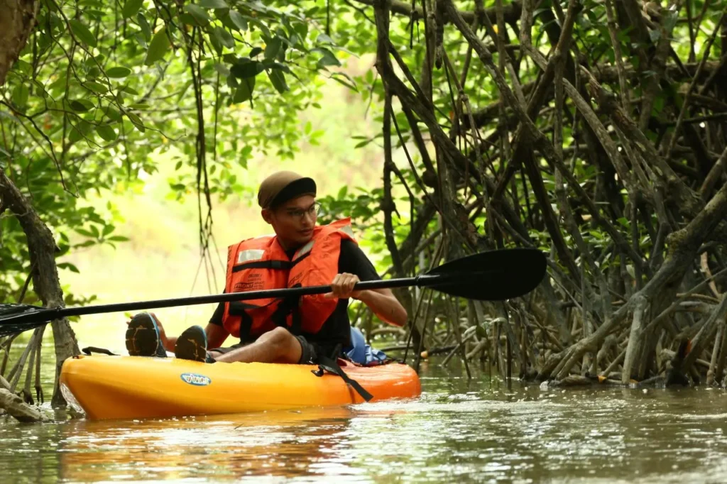 Paddle Through Paradise: A Lebam River Kayaking Adventure