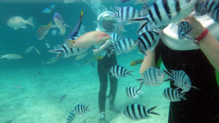 Sea Walking in Sabah: Walk Underwater Without Getting Wet