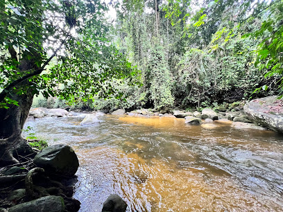 Unveiling the Untamed Waters of Sungai Sedim: A Kedah Fishing Adventure