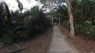 Jogging at Taman Impian Emas