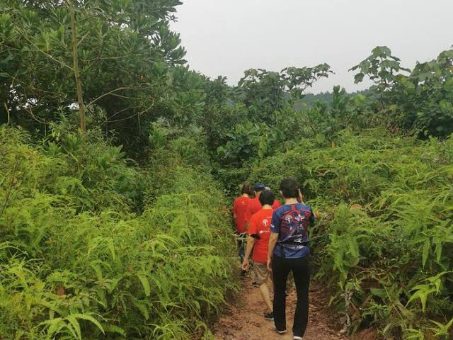 Sireh Park: A Green Oasis for Hiking Near Johor Bahru